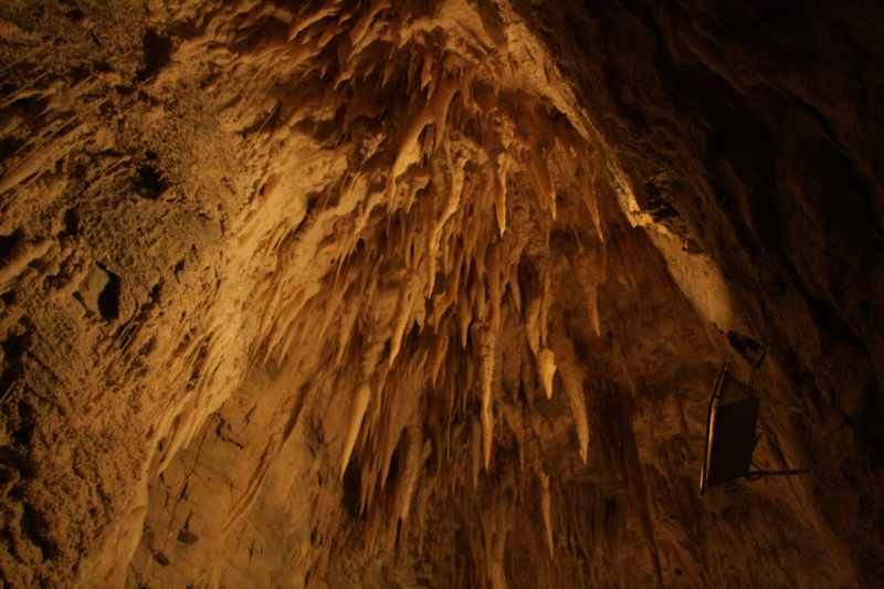 Nieuw-Zeeland 2011 - 0550